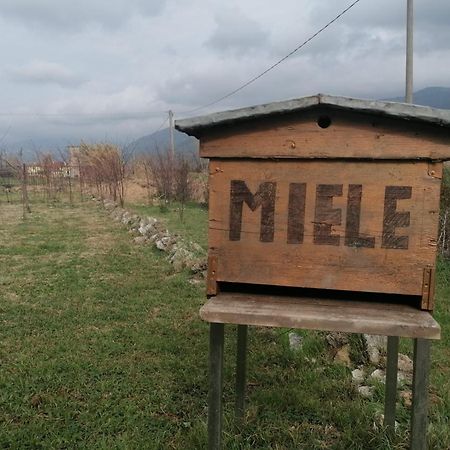 Casale Cavatella Acomodação com café da manhã Sermoneta Exterior foto