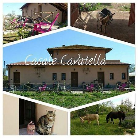 Casale Cavatella Acomodação com café da manhã Sermoneta Exterior foto