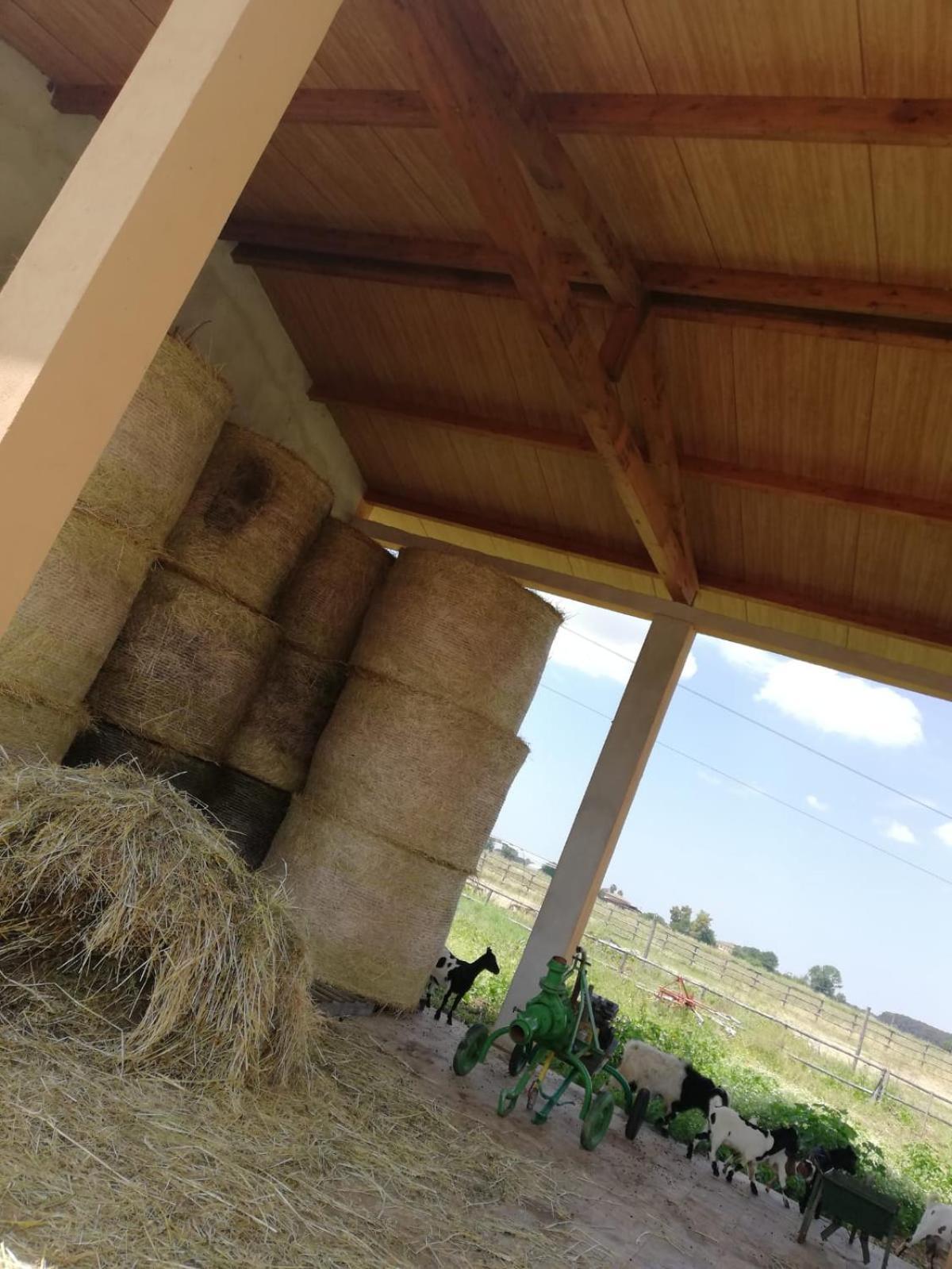 Casale Cavatella Acomodação com café da manhã Sermoneta Exterior foto